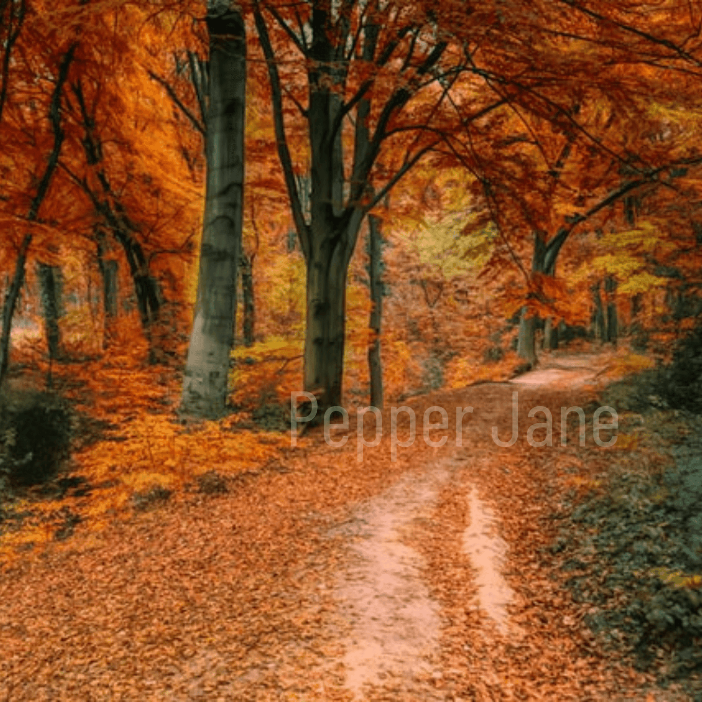 Autumn Path fragrance oil: oak, citrus, amber, and rustling leaves for a cozy fall aroma