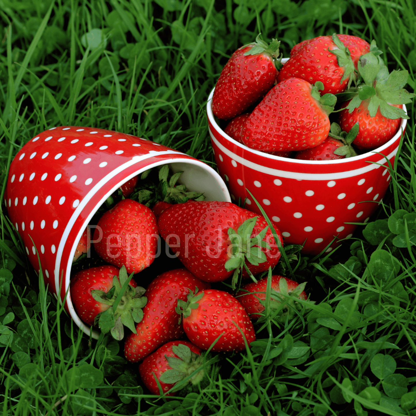 Pepper Jane’s Fresh Strawberry Fragrance Oil—authentic ripe strawberry aroma.