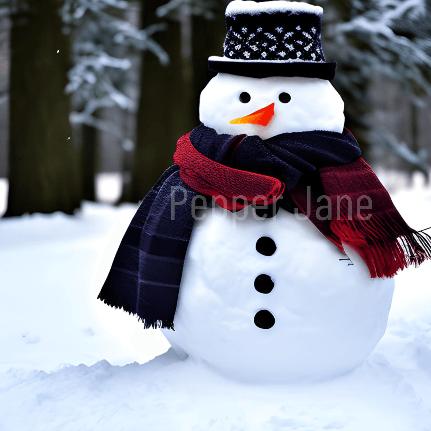 Frosty Christmas fragrance oil: peppermint, spearmint, vanilla, and spun sugar blend.