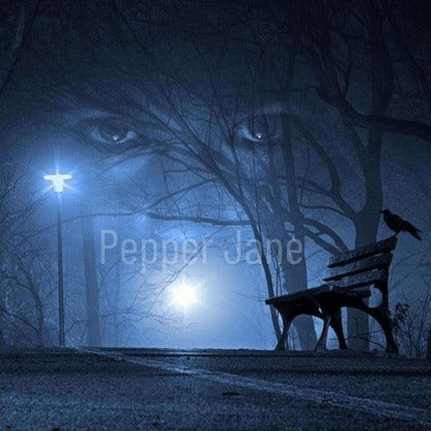 Haunting fragrance oil by Pepper Jane’s—gothic aroma of ginger, anise, patchouli, jasmine, and amber.