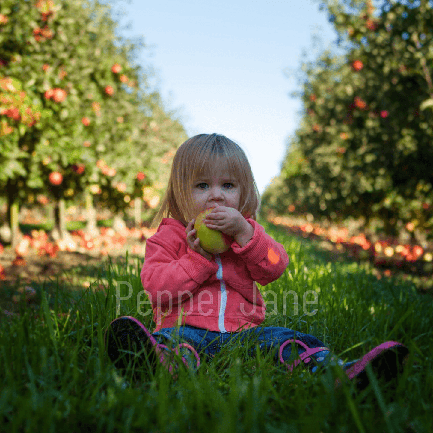 October Orchard fragrance oil: crisp red apples, juicy peaches, green leaves & soft woods.