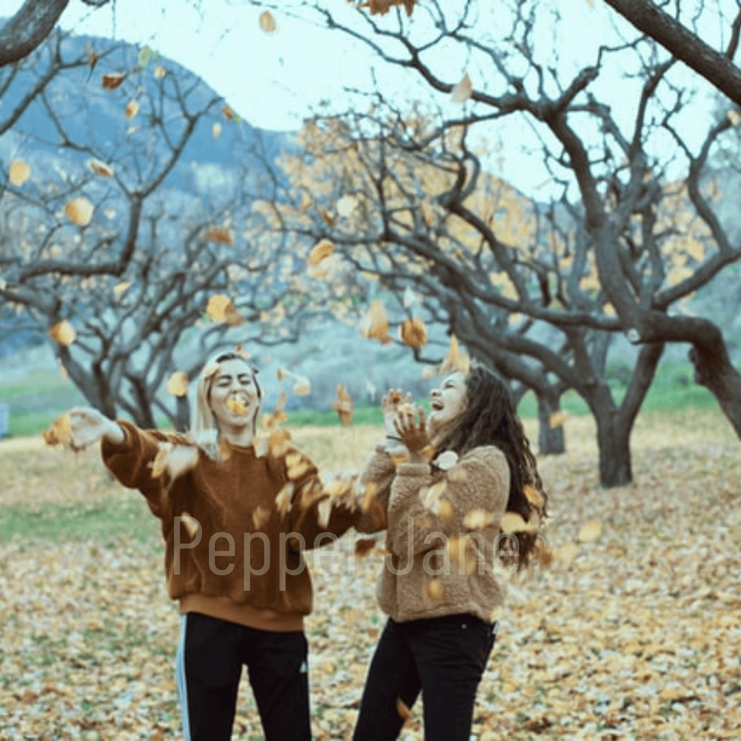 Sweater Season Fragrance Oil: Fresh spearmint, pine, and vanilla musk for a crisp fall scent.