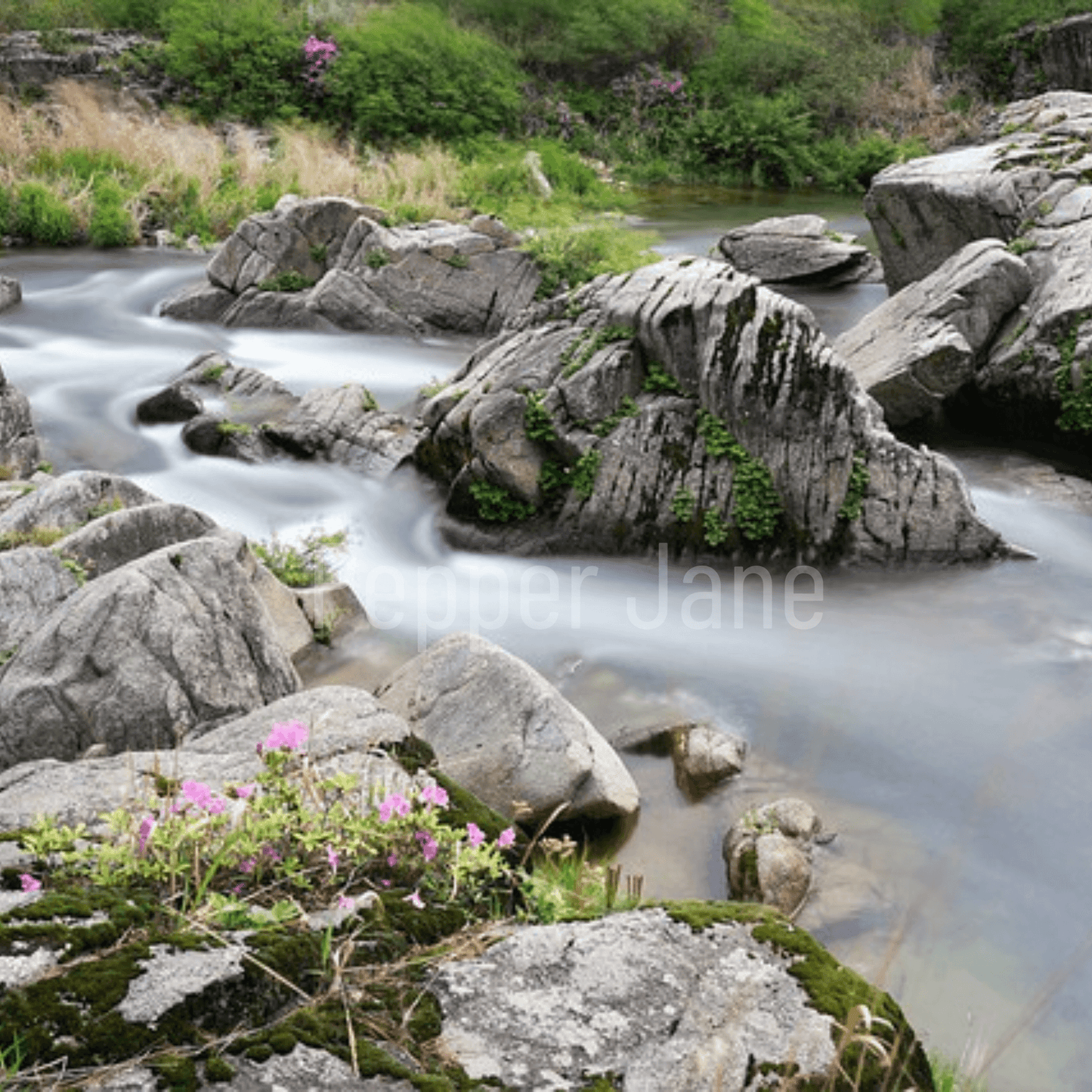Pepper Jane's Zen Oasis fragrance oil: calming blend of sea breeze, floral notes, and earthy moss.