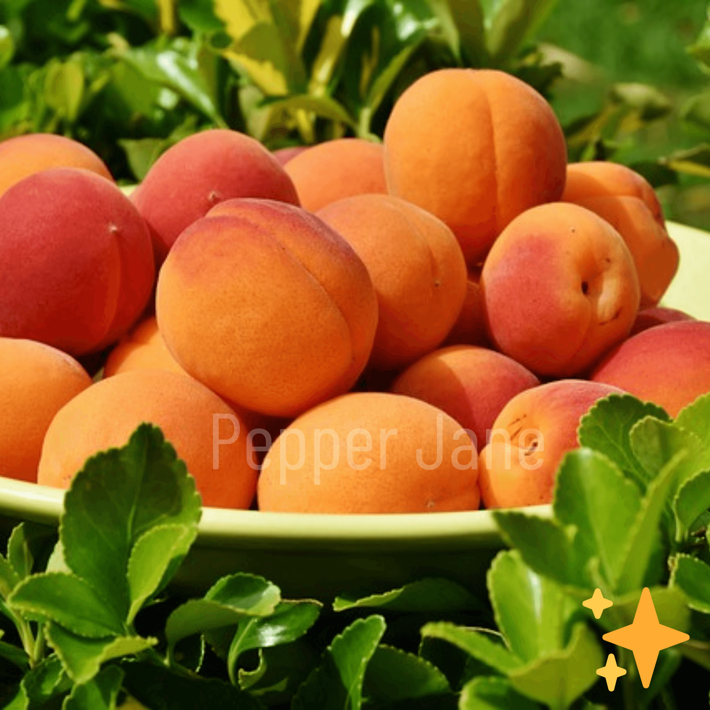 Fresh Peach Fragrance Oil