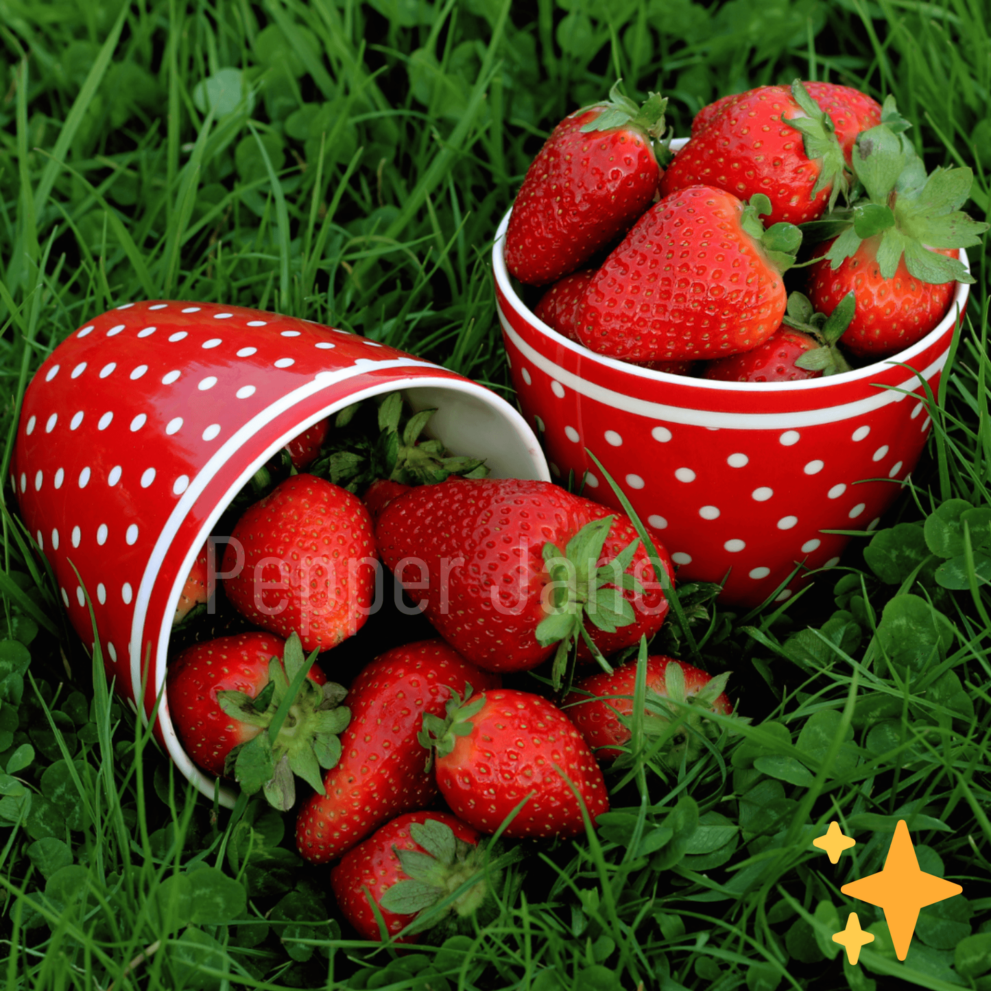 Fresh Strawberry Fragrance Oil