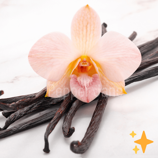 Vanilla Bean Fragrance Oil