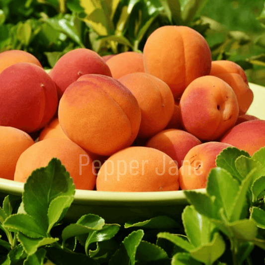 Fresh Peach Fragrance Oil - Pepper Jane's Colors and Scents
