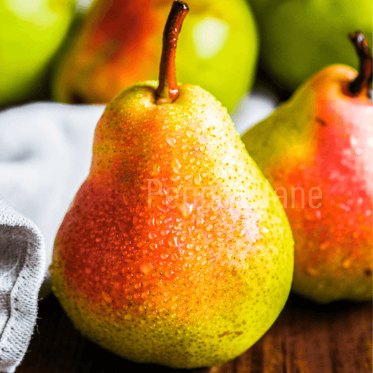 Fresh Pear Fragrance Oil - Pepper Jane's Colors and Scents