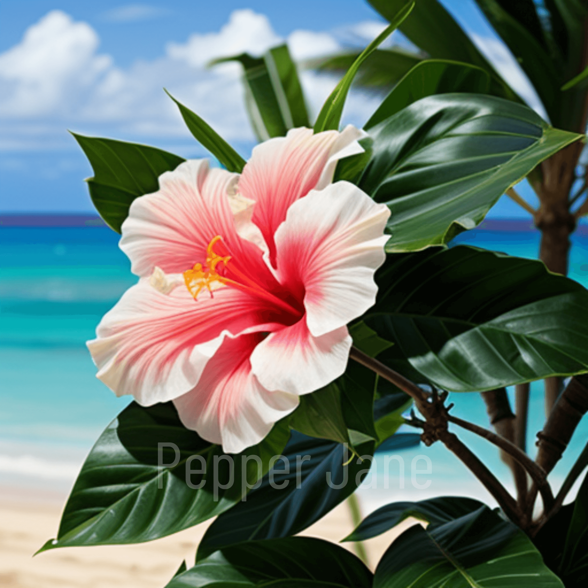 Hawaiian Hibiscus Fragrance Oil | Pepper Jane's Premium Aromatic Oils ...