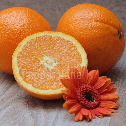 Juicy Oranges Fragrance Oil - Pepper Jane's Colors and Scents