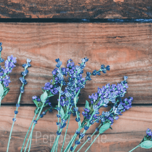 Lavender Sandalwood Fragrance Oil - Pepper Jane's Colors and Scents